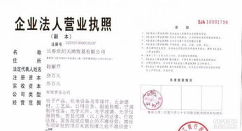 長春世紀天鴻進出口貿易代理公司 專業進出口代理服務引領全球貿易新篇章